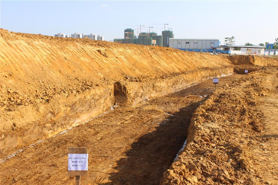 AG Club | The Originator of Live Casino