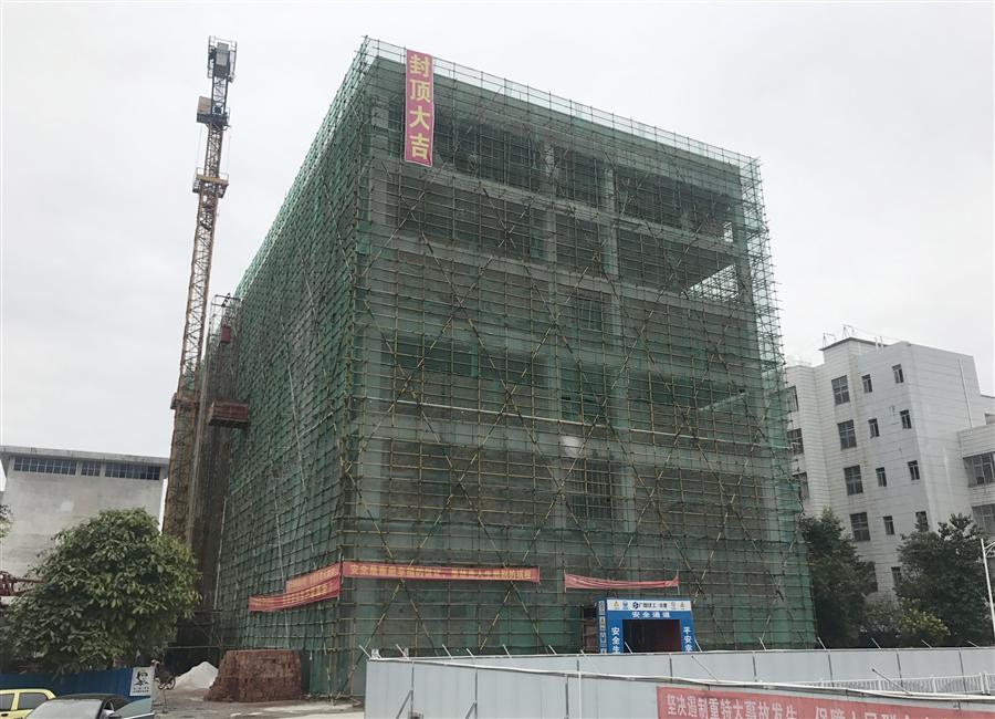 AG Club | The Originator of Live Casino