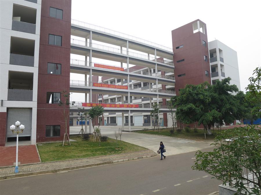 AG Club | The Originator of Live Casino