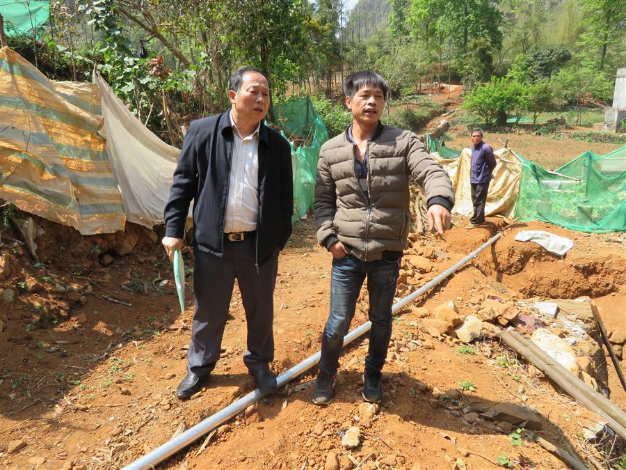 AG Club | The Originator of Live Casino