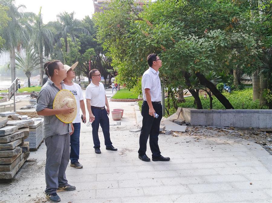 AG Club | The Originator of Live Casino