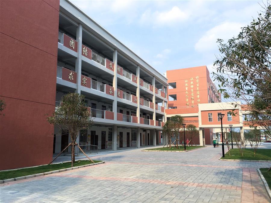 AG Club | The Originator of Live Casino