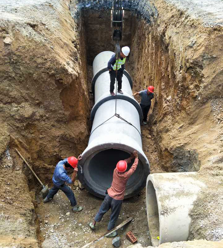 AG Club | The Originator of Live Casino