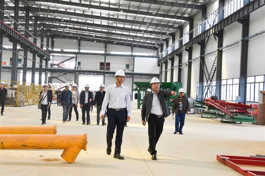 AG Club | The Originator of Live Casino