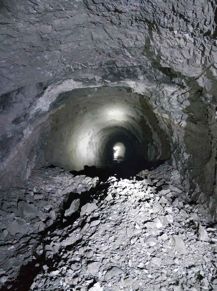 AG Club | The Originator of Live Casino