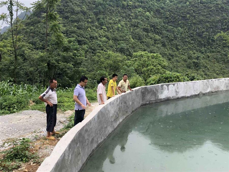 AG Club | The Originator of Live Casino