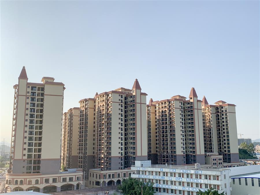 AG Club | The Originator of Live Casino