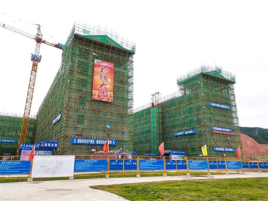 AG Club | The Originator of Live Casino