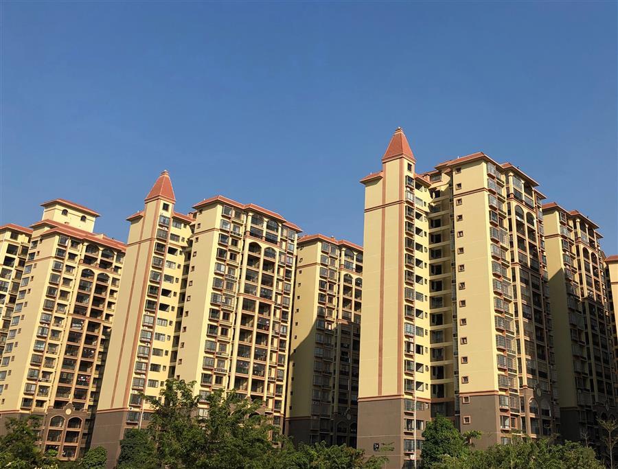 AG Club | The Originator of Live Casino