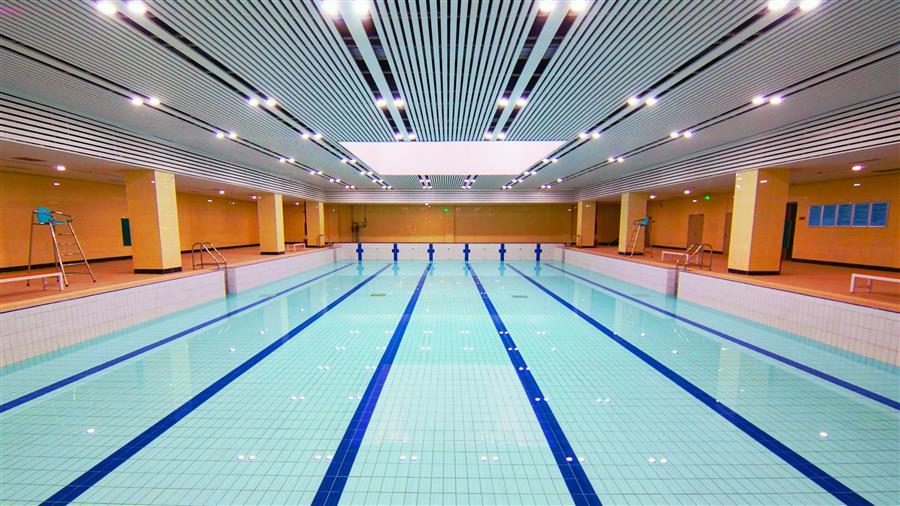 AG Club | The Originator of Live Casino