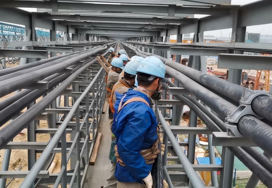 AG Club | The Originator of Live Casino