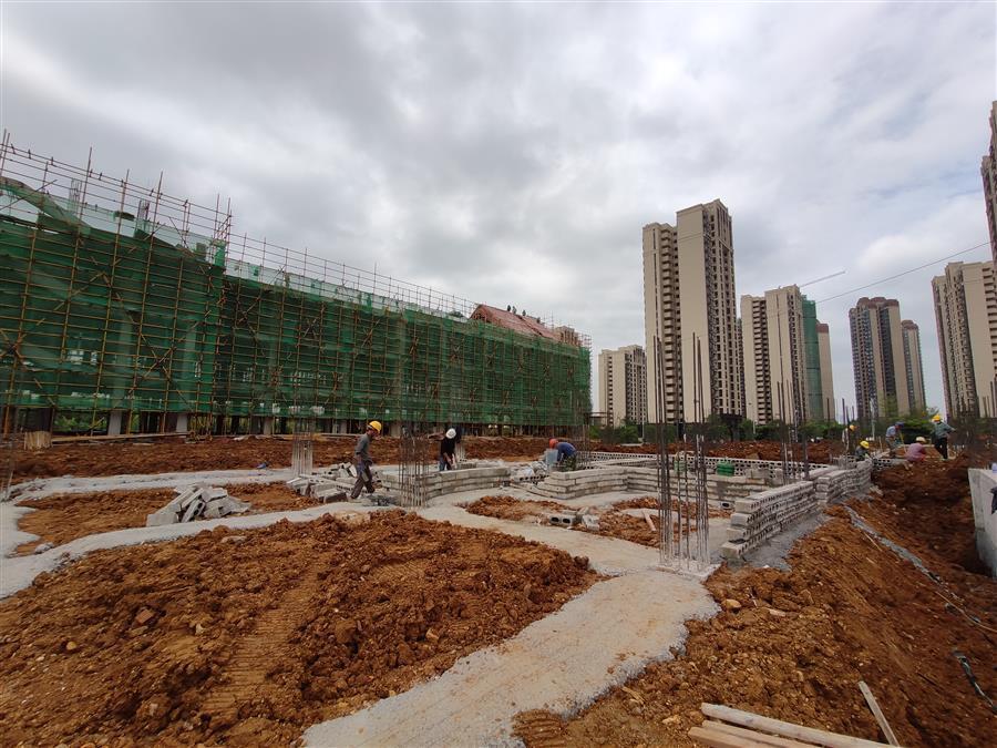 AG Club | The Originator of Live Casino