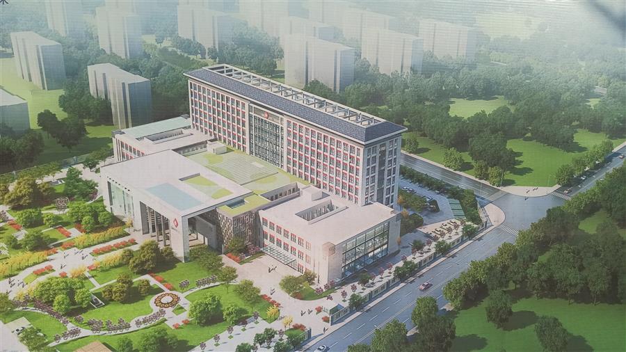 AG Club | The Originator of Live Casino