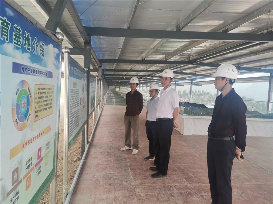 AG Club | The Originator of Live Casino