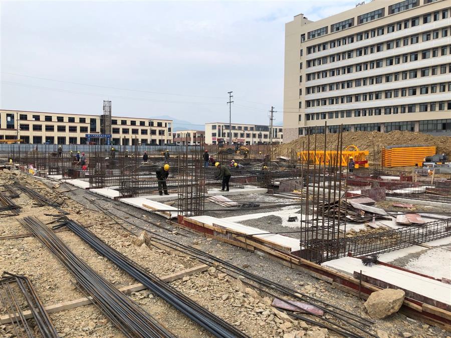 AG Club | The Originator of Live Casino