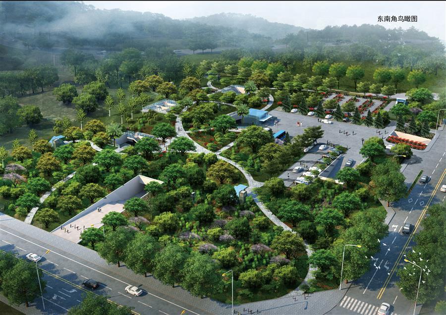 AG Club | The Originator of Live Casino