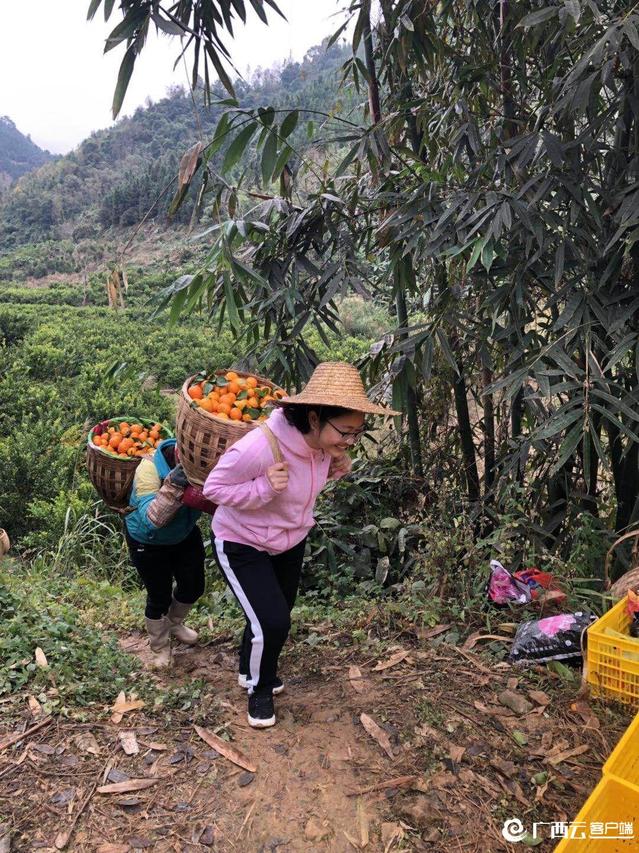 AG Club | The Originator of Live Casino