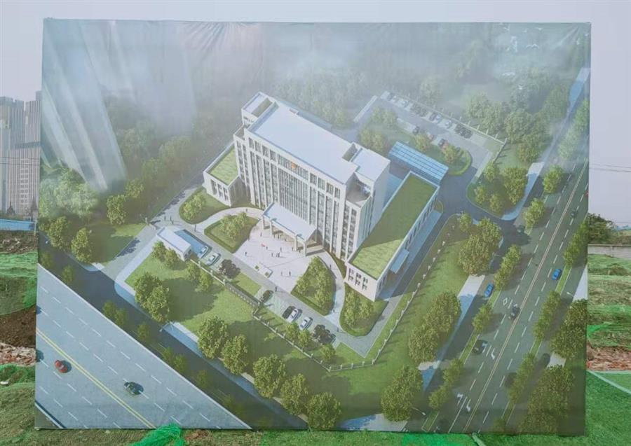 AG Club | The Originator of Live Casino