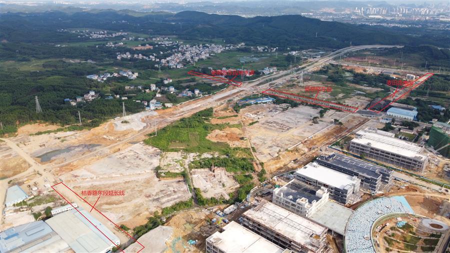 AG Club | The Originator of Live Casino