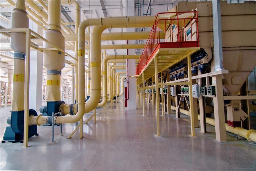 AG Club | The Originator of Live Casino