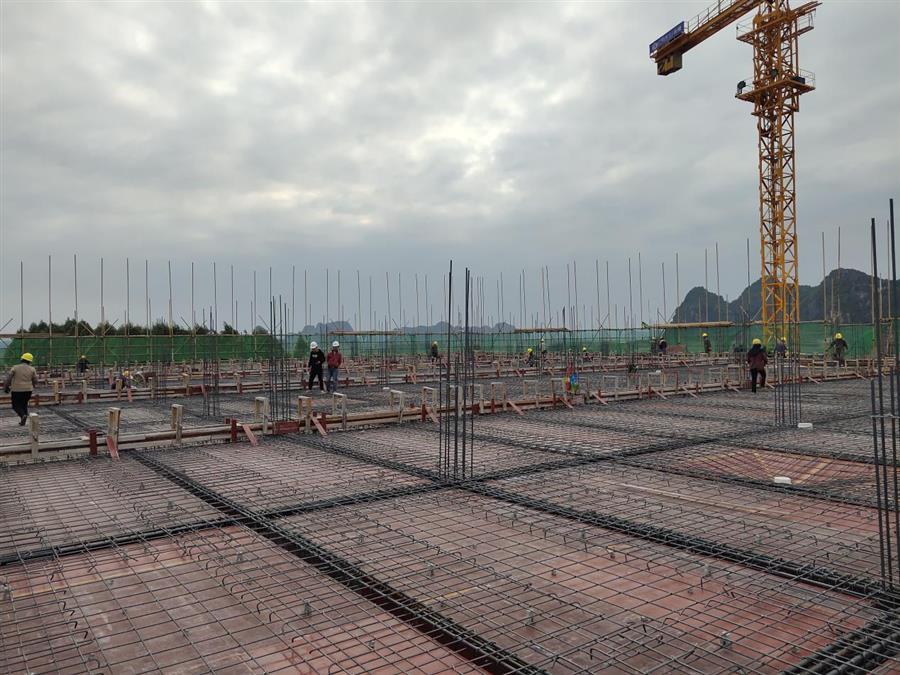 AG Club | The Originator of Live Casino