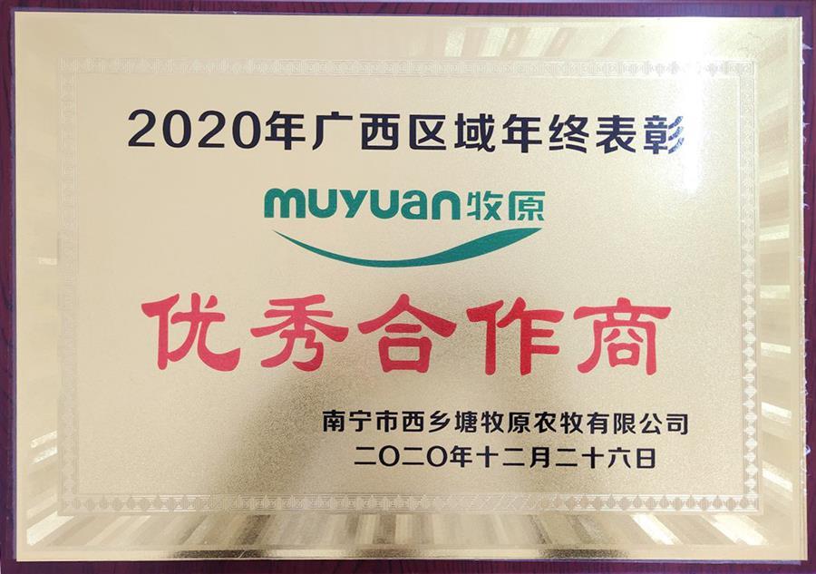 AG Club | The Originator of Live Casino