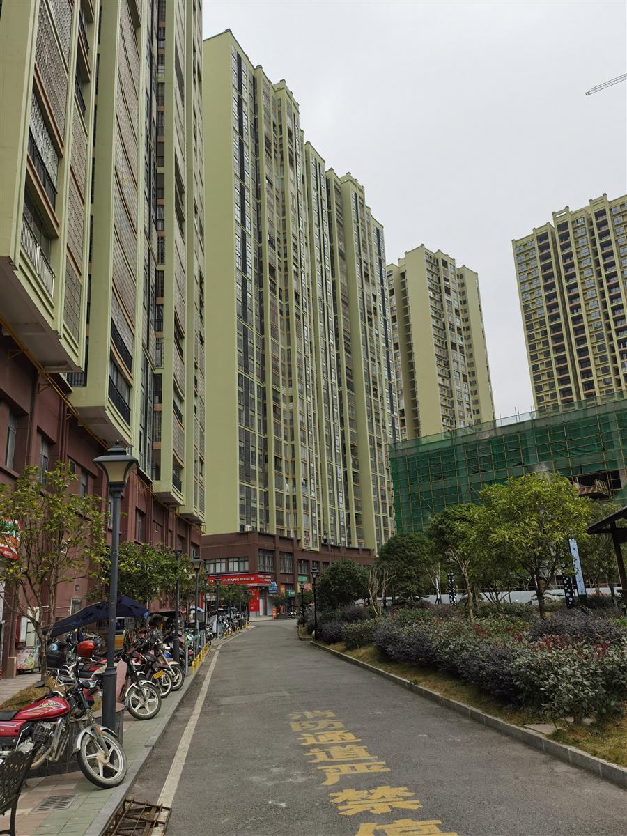 AG Club | The Originator of Live Casino