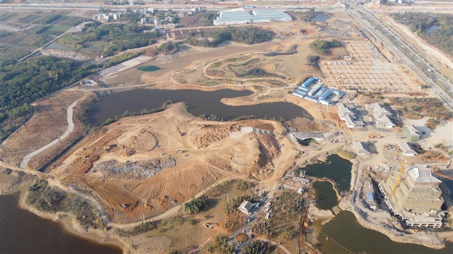 AG Club | The Originator of Live Casino