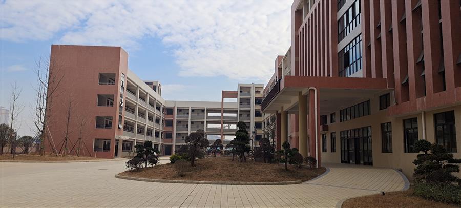 AG Club | The Originator of Live Casino