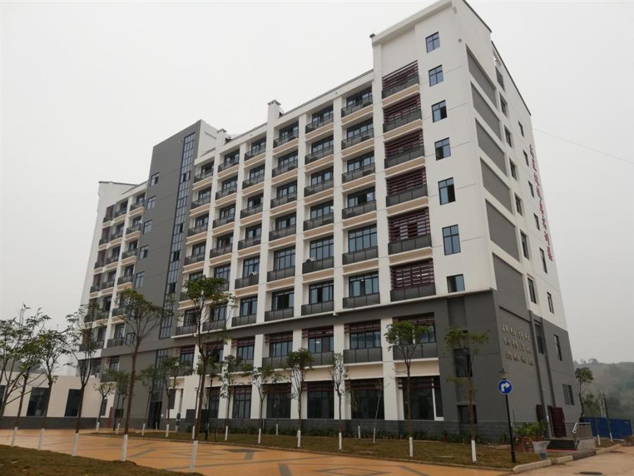 AG Club | The Originator of Live Casino