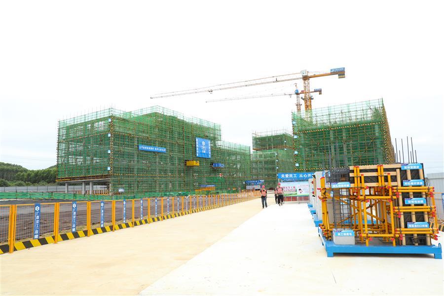 AG Club | The Originator of Live Casino