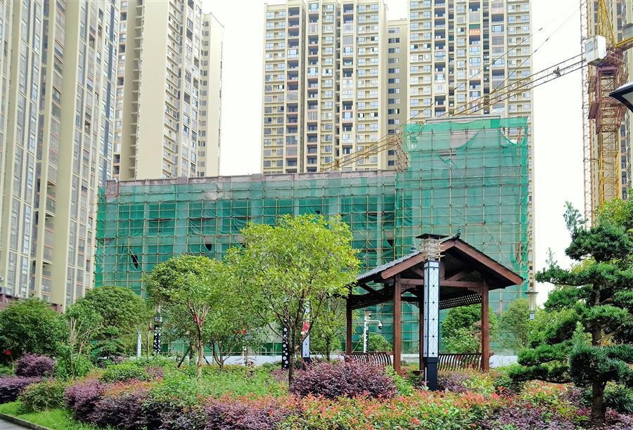 AG Club | The Originator of Live Casino