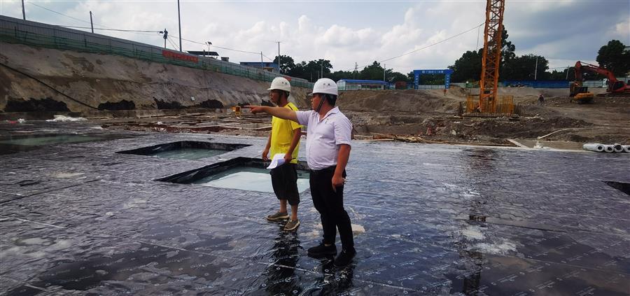 AG Club | The Originator of Live Casino