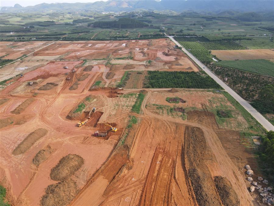 AG Club | The Originator of Live Casino