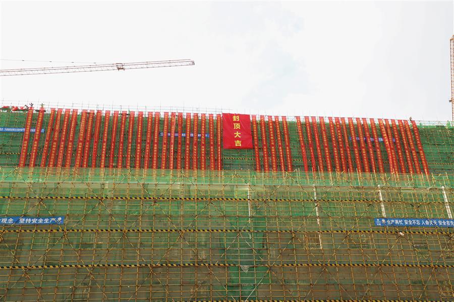 AG Club | The Originator of Live Casino