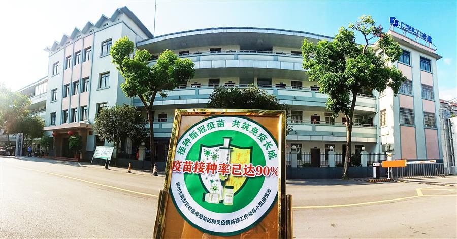 AG Club | The Originator of Live Casino