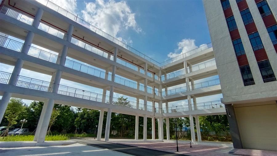 AG Club | The Originator of Live Casino