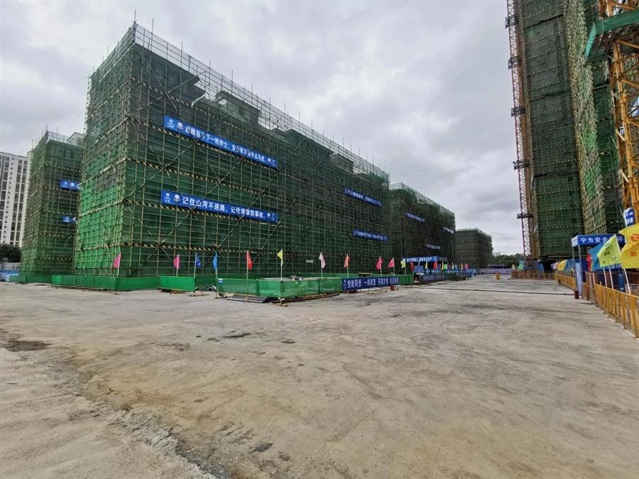 AG Club | The Originator of Live Casino