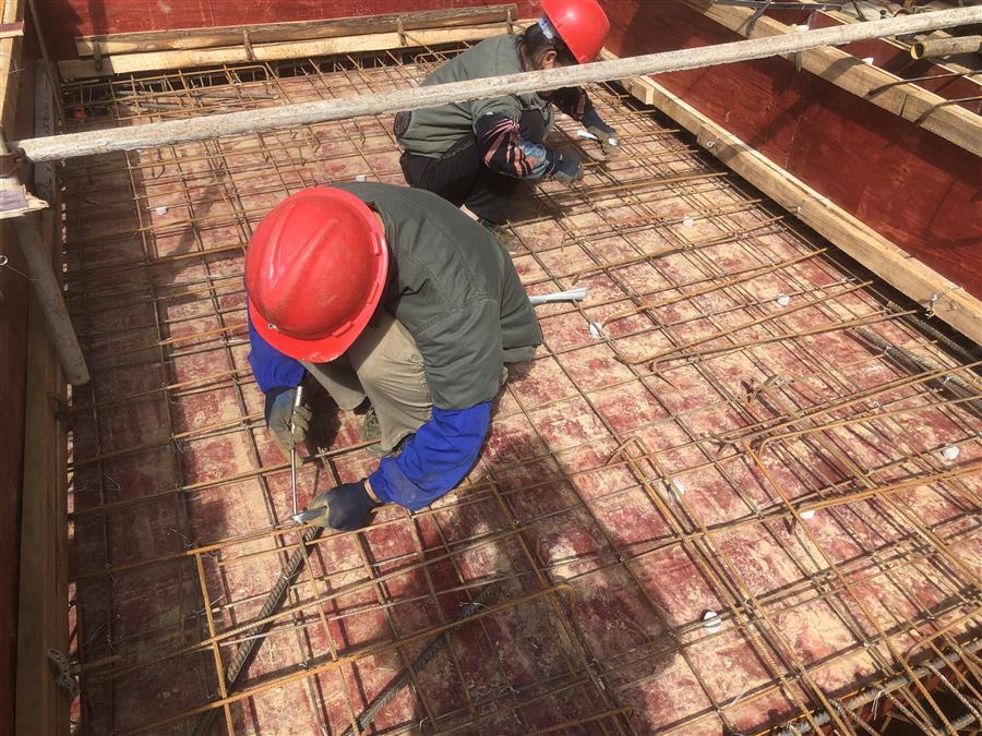 AG Club | The Originator of Live Casino