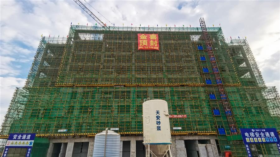 AG Club | The Originator of Live Casino