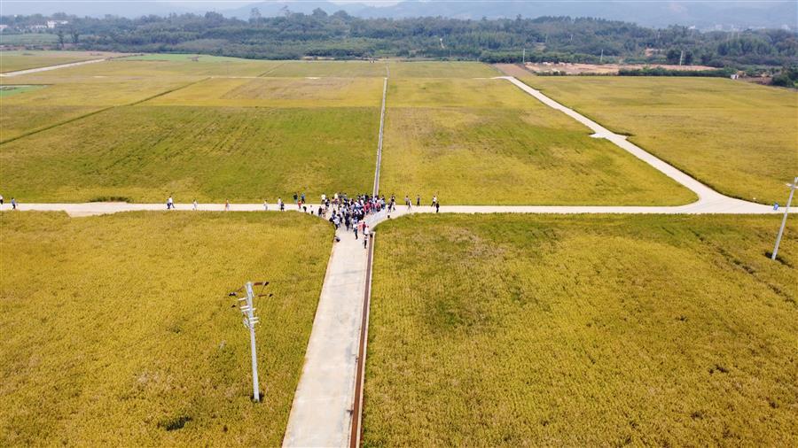 AG Club | The Originator of Live Casino