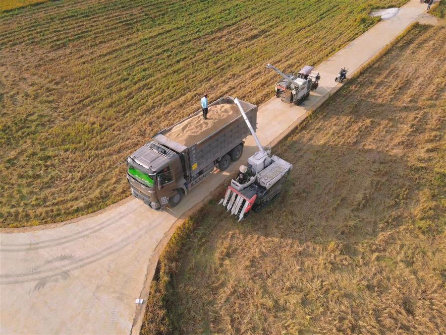 AG Club | The Originator of Live Casino