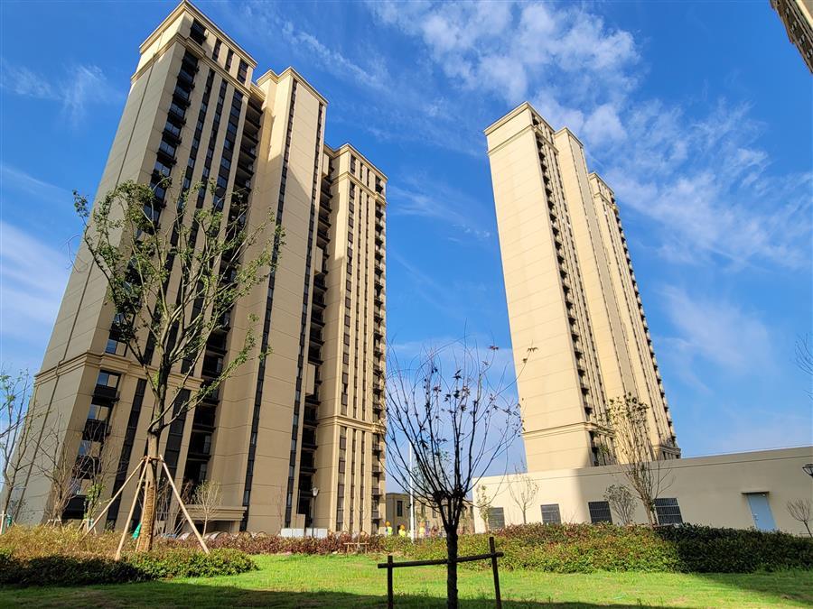 AG Club | The Originator of Live Casino