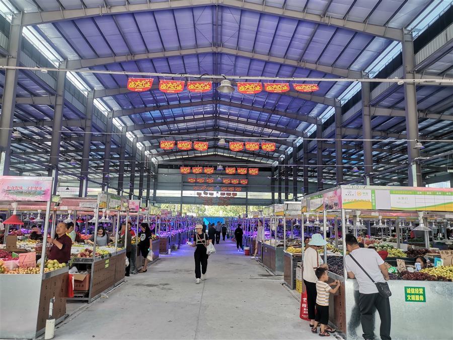 AG Club | The Originator of Live Casino