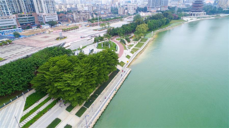 AG Club | The Originator of Live Casino