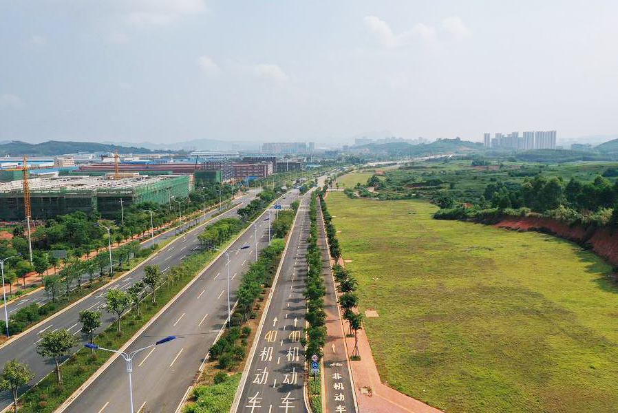 AG Club | The Originator of Live Casino