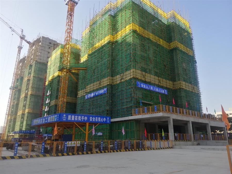 AG Club | The Originator of Live Casino