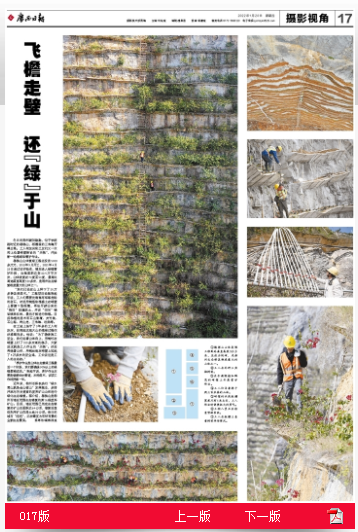 AG Club | The Originator of Live Casino