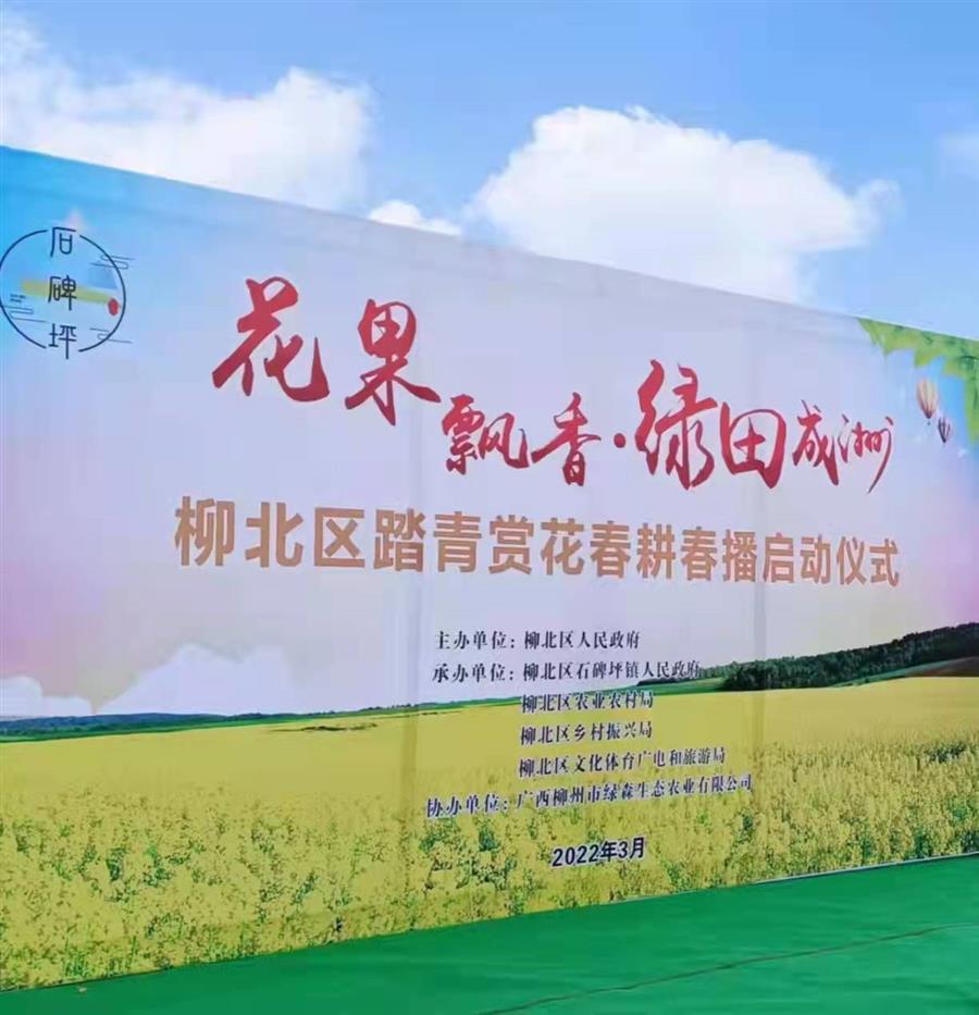 AG Club | The Originator of Live Casino