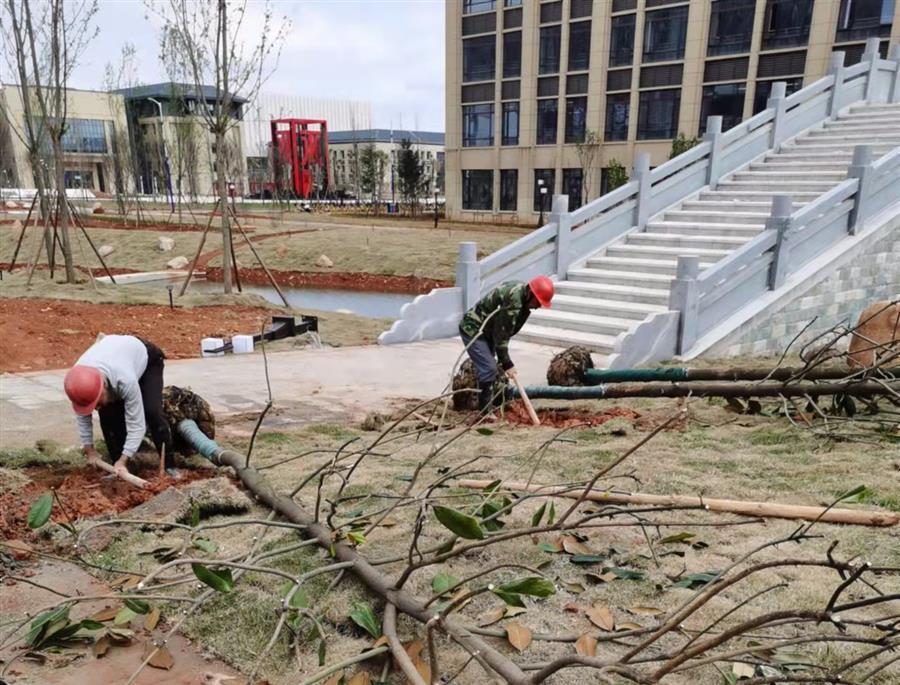 AG Club | The Originator of Live Casino